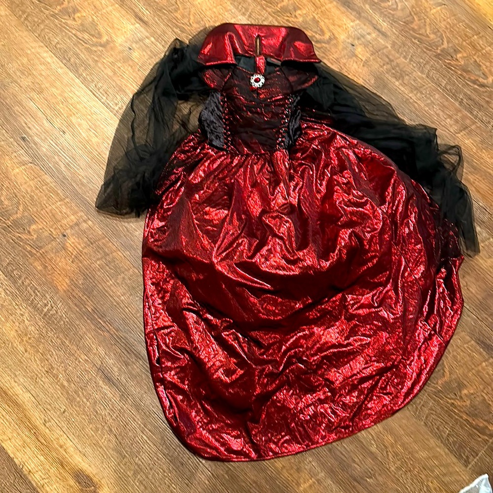 Girls Hallow’s Eve Gorgeous Witch Costume (Size small 7/8)